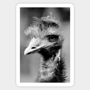 Emu Sticker